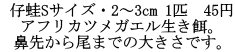  e^STCYE2`3cm 1C@40~ AtJcKGaB @悩܂ł̑傫łB