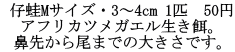  e^MTCYE3`4cm 1C@45~ AtJcKGaB @悩܂ł̑傫łB